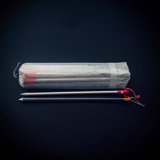 Translucent DCF tent stake bag with two different lightweight tent pegs displayed alongside, including aluminium and carbon fibre styles.